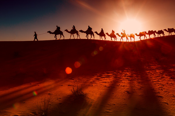 Top Safari Experience from Marrakech To the Desert