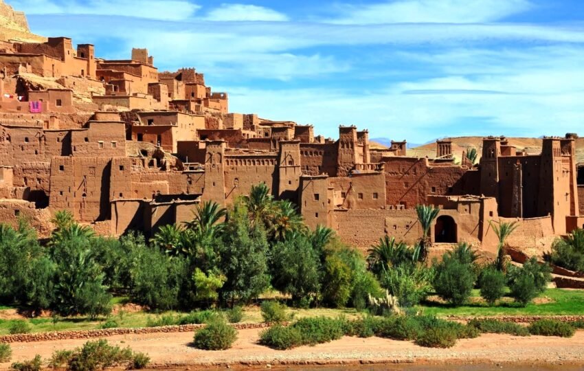 Birdwatching Morocco Tours from Mars April May