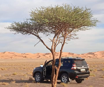 6-Day Tour from Agadir to Marrakech via Chigaga Desert