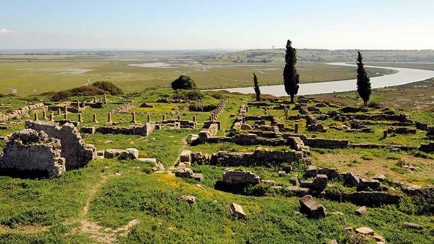 lixus morocco