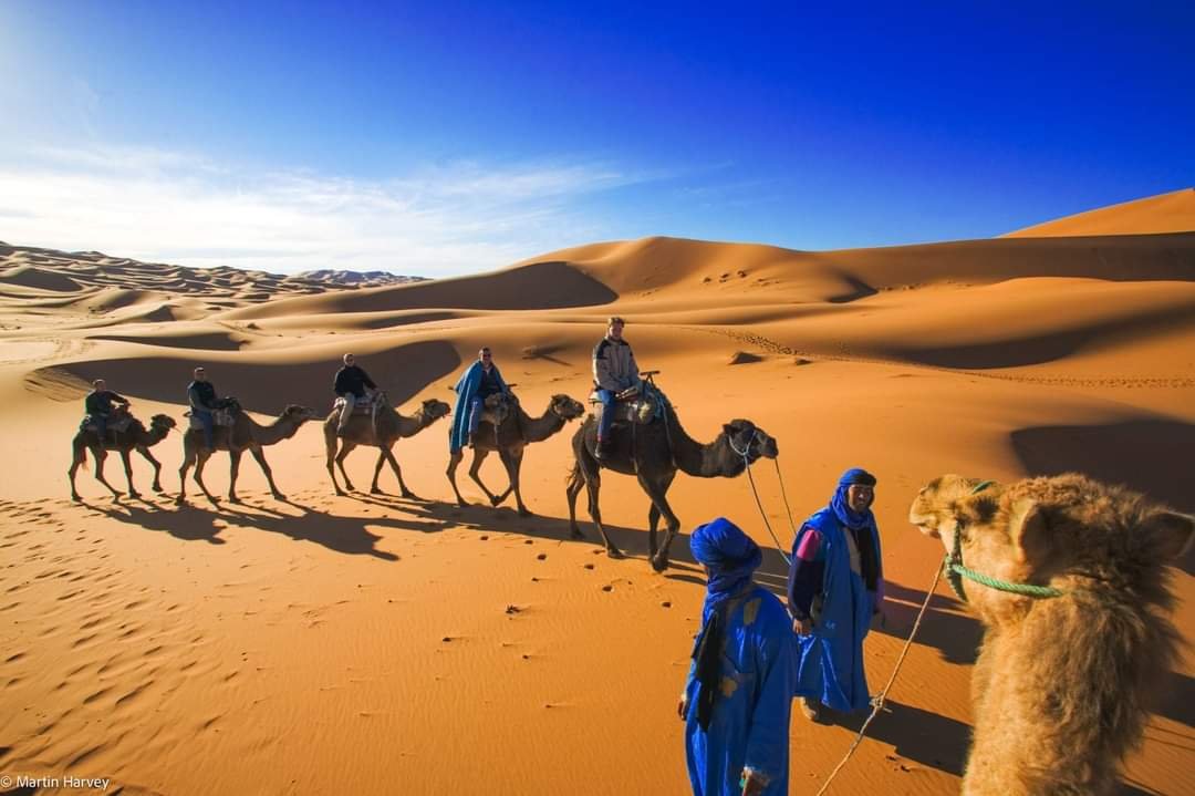 Morocco tours casablanca to atlantic cost 12 Days
