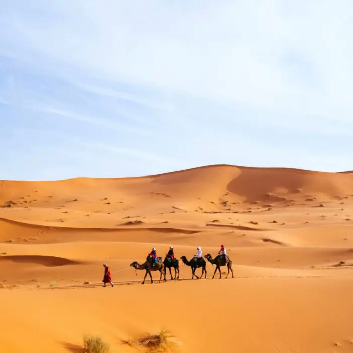 desert adventure honeymoon private tours