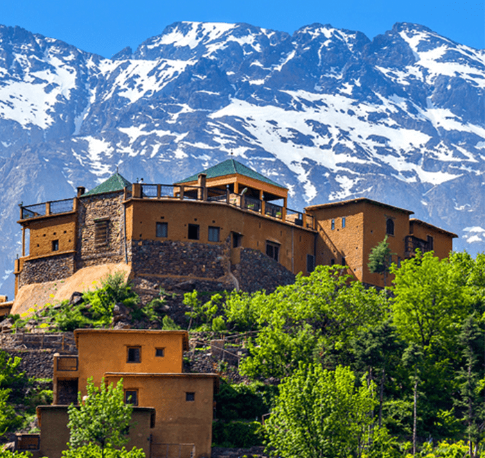 Trips and Grand Tour 14 Day itinerary