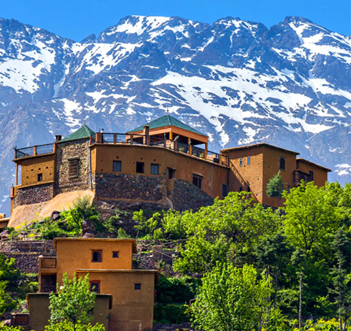 Trips and Grand Tour 14 Day itinerary