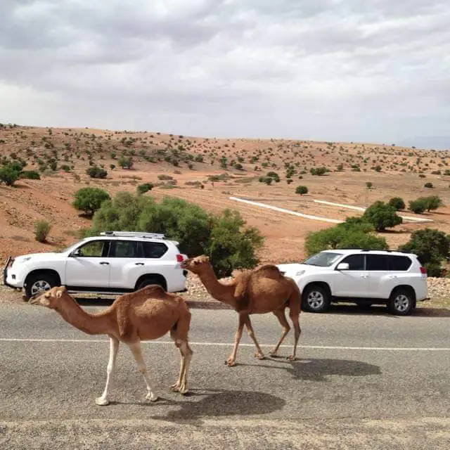 Marrakech To Fez Via Desert Tour 4 days