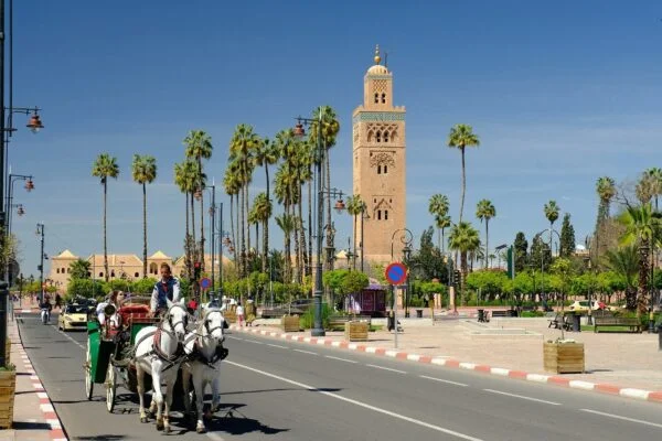 5 days atlas desert trip fes to marrakech